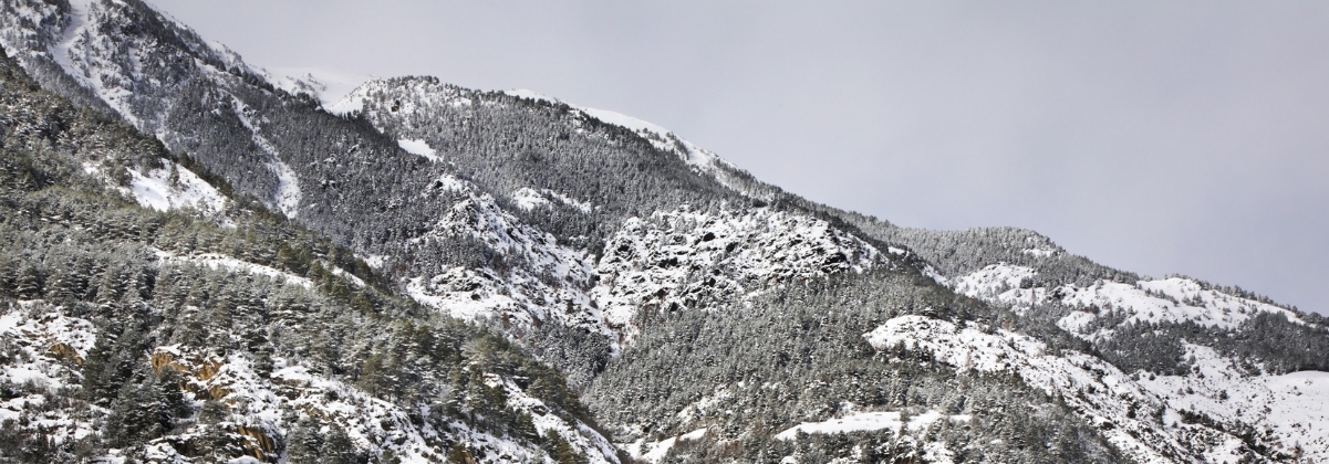 מידע על לה קורטינדה